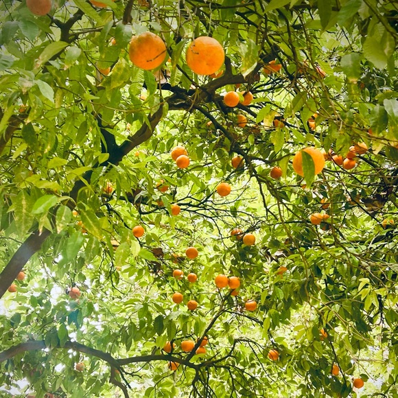 Meet your Posher, - Picture 10 of 12